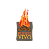 Logo of Fuoco Vivo B.V.